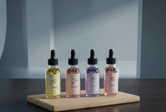 Collection Évasion Nocturne